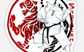 East Providence Recreation announces introduction to Shotokan Karate-Do